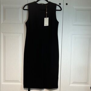 NWT- Quince Business/ Holiday Ponte Dress